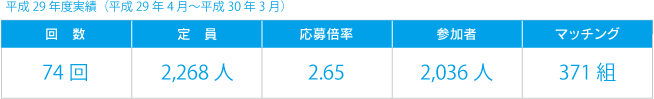 平成28年度実績