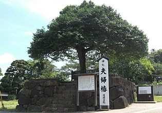 八重垣神社　【島根県松江市】